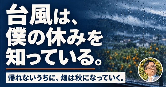 note記事の見出し画像：週末になると、台風が来る。7月から、実家の畑を見ていない